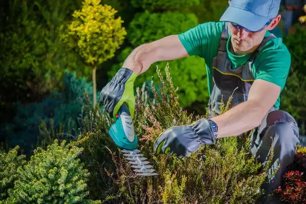 landscaping services Port Allen